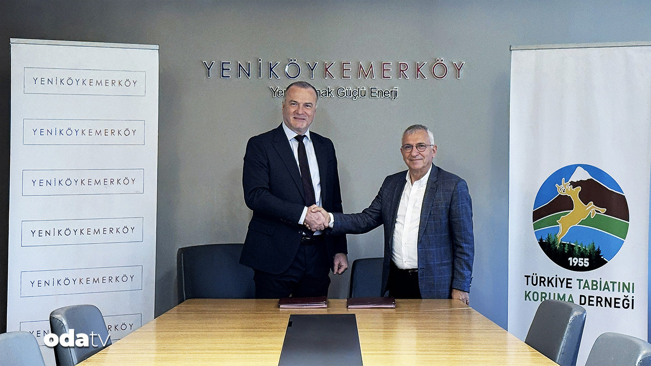 cok konusuldu imzalar atildi zeytin agaclarina siki takip 2YwgyhKS