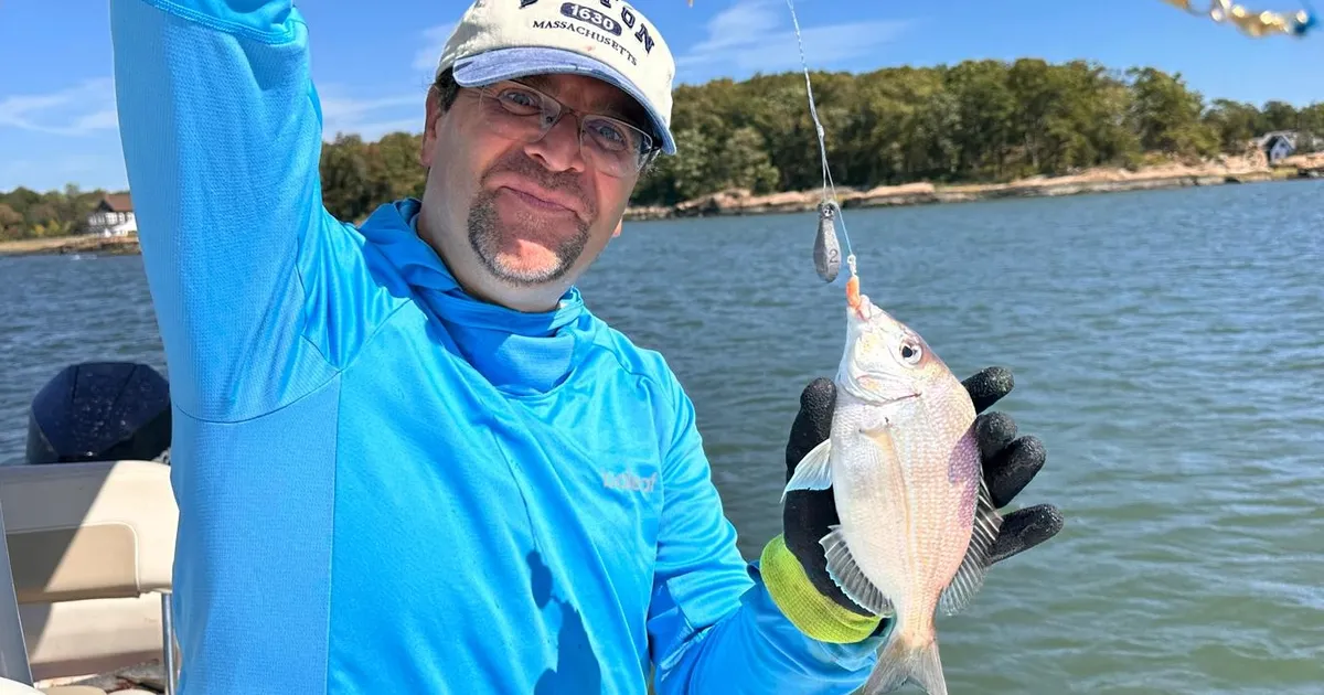 abdde amator balik tutmanin cezasi 250 dolar sV6pPmAi.webp