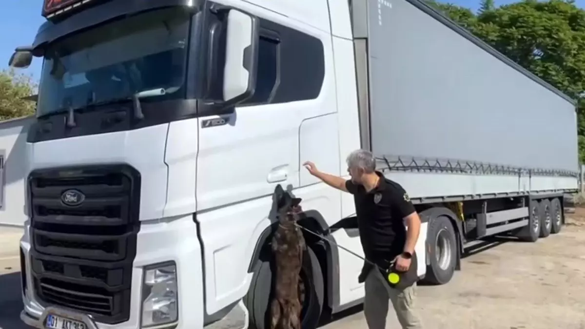 adanada 55 kilogram skunk ele gecirildi WYAH7tuu.jpg