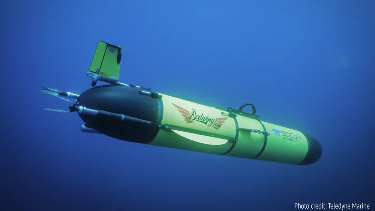 redwing okyanusun sirlarini cozmek icin 5 yillik yolcuguna basladi 1WVdVpjU