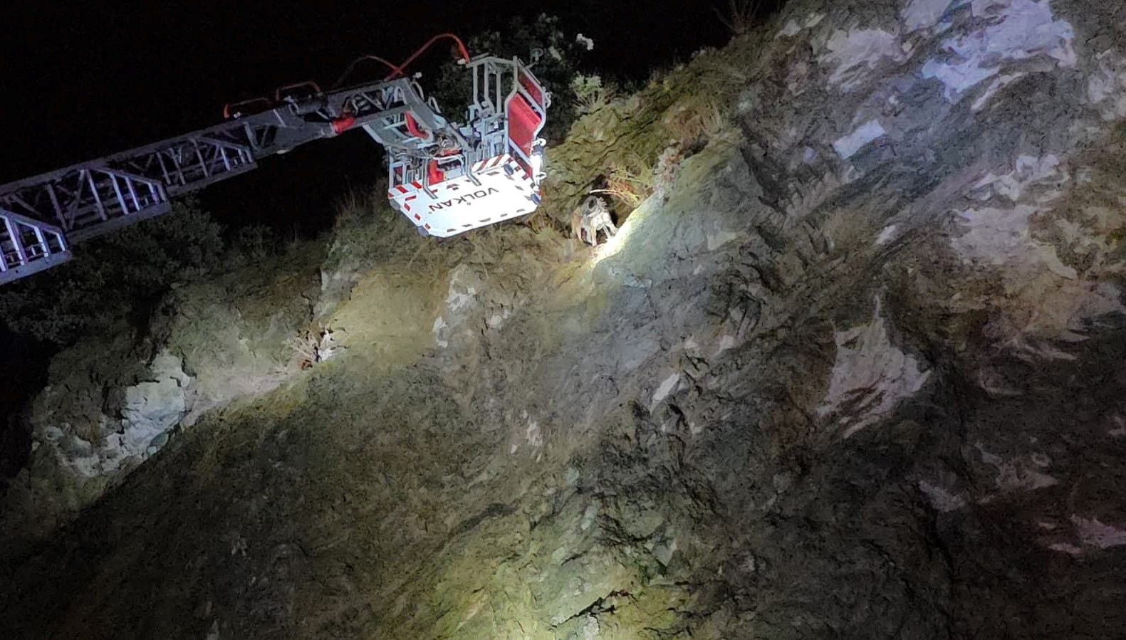 ucurumun ortasinda mahsur kalan kopege itfaiye yetisti IW6Y4Pur.jpg